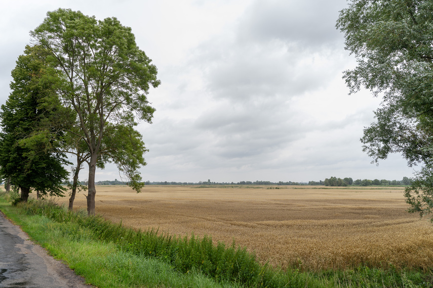 Nad Tyną o pieniądzach dla Żuław zdjęcie nr 290285