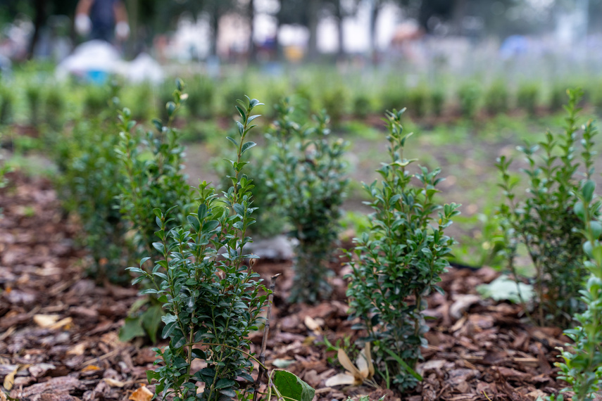 Park Planty prawie gotowy po modernizacji zdjęcie nr 291015