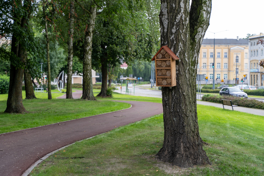 Park Planty prawie gotowy po modernizacji zdjęcie nr 290999