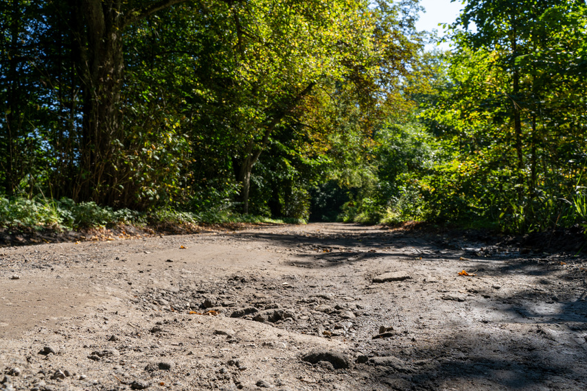 Na Jelenią Dolinę pojedziesz bez dziur  zdjęcie nr 292226