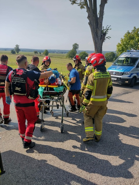 Poważny wypadek drogowy w okolicach Płoskini zdjęcie nr 292711