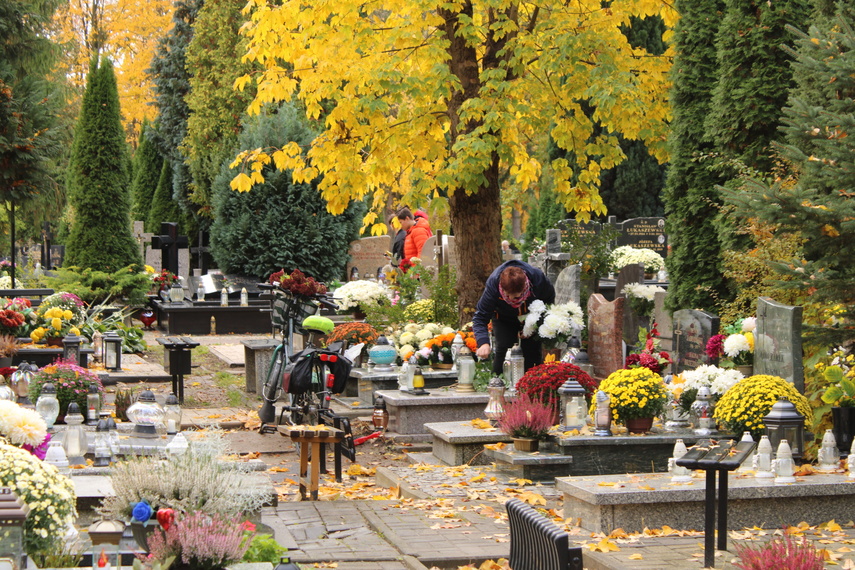 Elblążanie przygotowują się do Wszystkich Świętych zdjęcie nr 295634