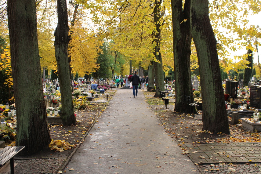 Elblążanie przygotowują się do Wszystkich Świętych zdjęcie nr 295615