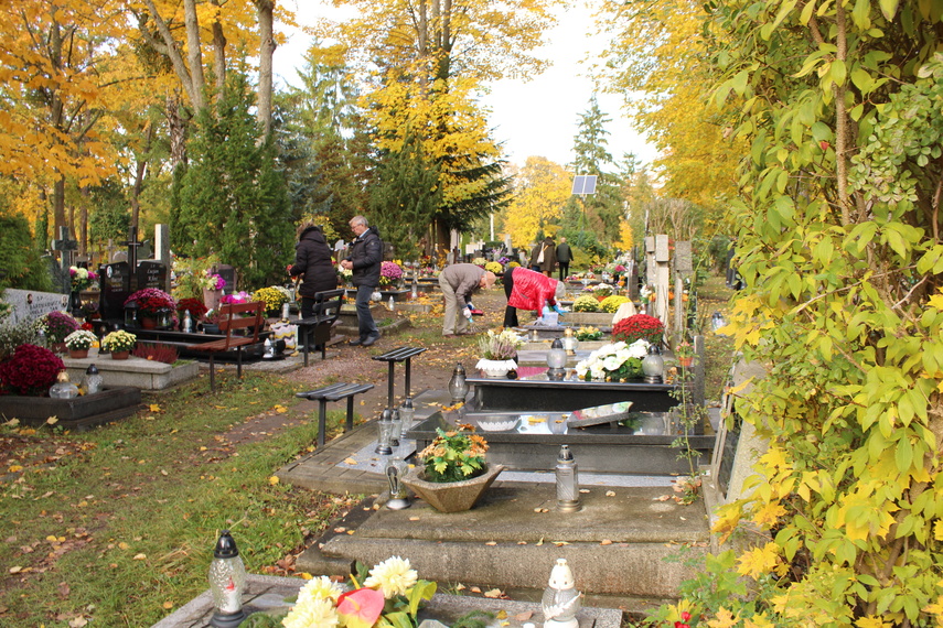 Elblążanie przygotowują się do Wszystkich Świętych zdjęcie nr 295611