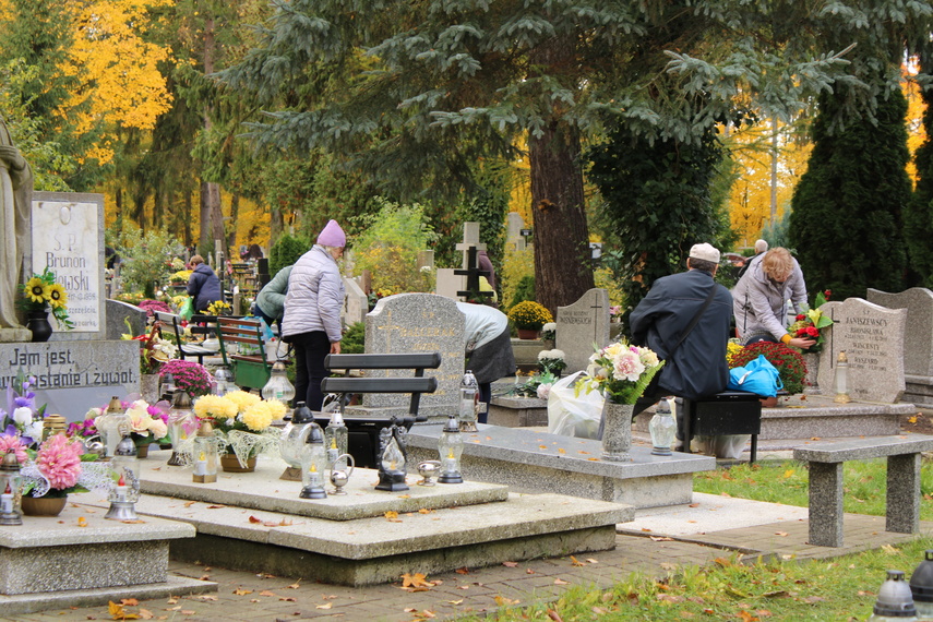 Elblążanie przygotowują się do Wszystkich Świętych zdjęcie nr 295635