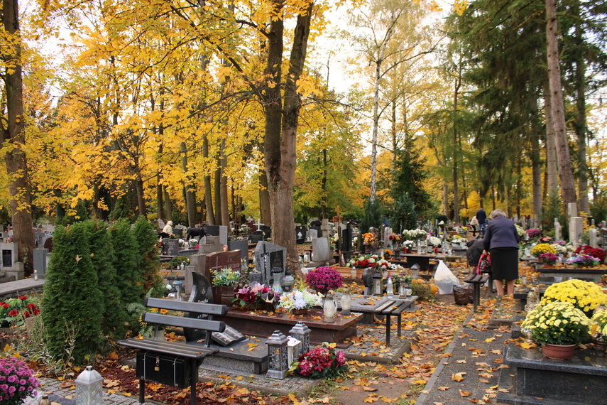 Elblążanie przygotowują się do Wszystkich Świętych zdjęcie nr 295602