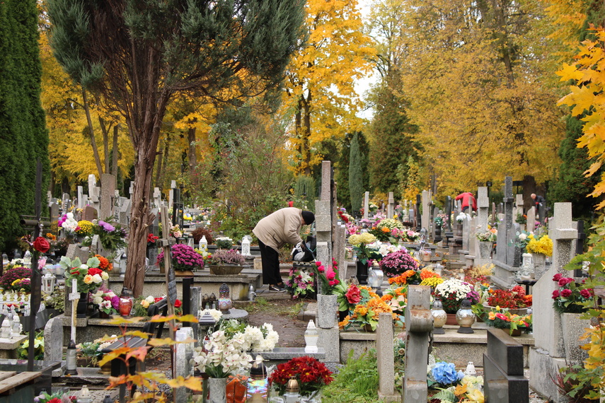 Elblążanie przygotowują się do Wszystkich Świętych zdjęcie nr 295638