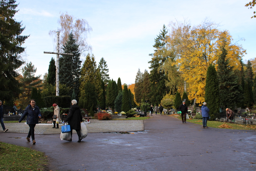 Elblążanie przygotowują się do Wszystkich Świętych zdjęcie nr 295613