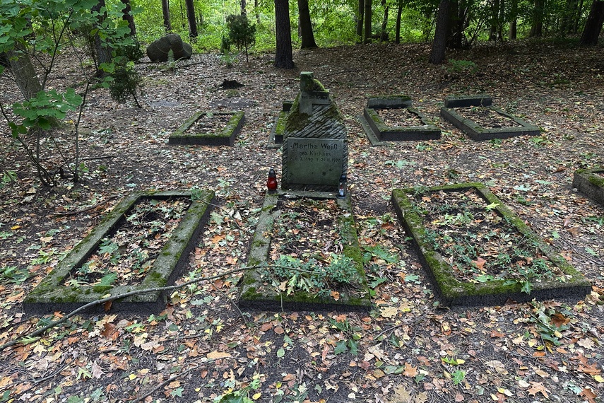 Historia leśnego cmentarza zdjęcie nr 295653