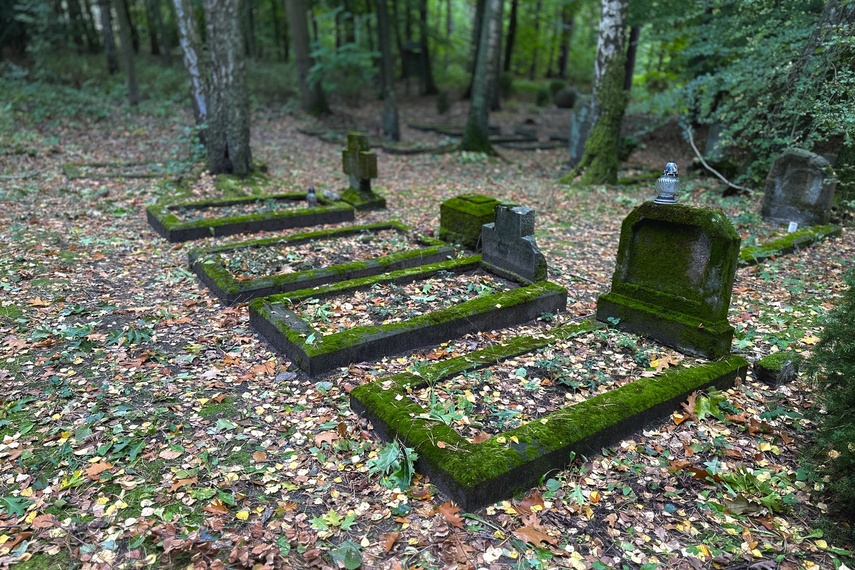 Historia leśnego cmentarza zdjęcie nr 295656