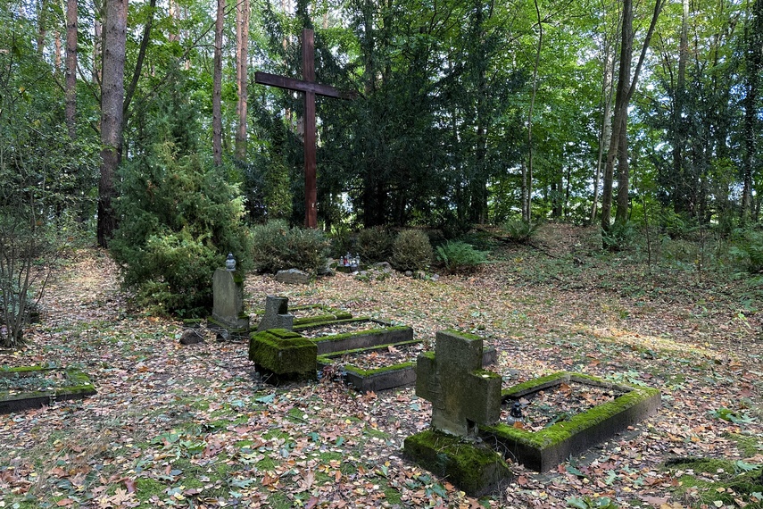 Historia leśnego cmentarza zdjęcie nr 295651