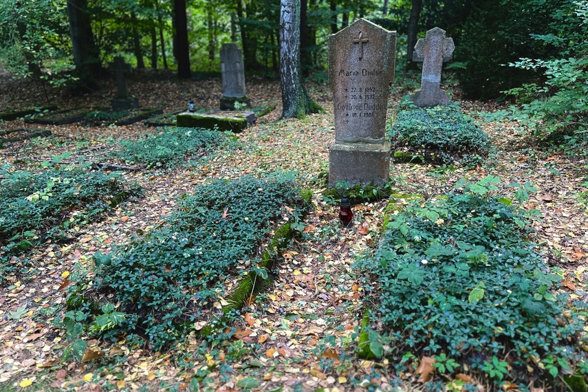 Historia leśnego cmentarza zdjęcie nr 295655