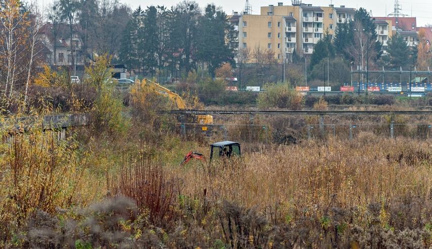 Elbląg Pierwsze prace na budowie kąpieliska