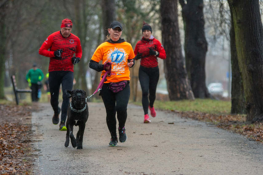 Liczyli się z cukrzycą podczas parkrun i licytowali na WOŚP zdjęcie nr 300882