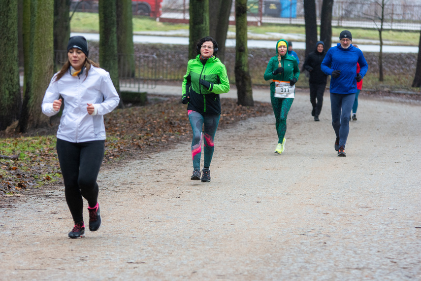 Liczyli się z cukrzycą podczas parkrun i licytowali na WOŚP zdjęcie nr 300860