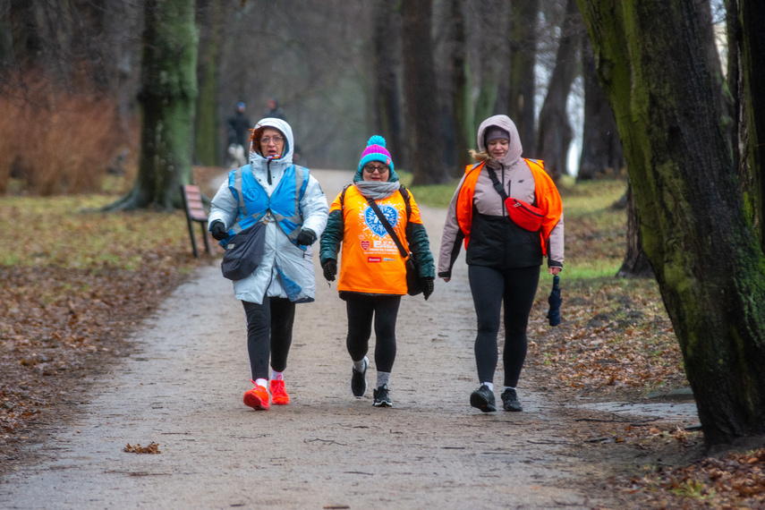 Liczyli się z cukrzycą podczas parkrun i licytowali na WOŚP zdjęcie nr 300873