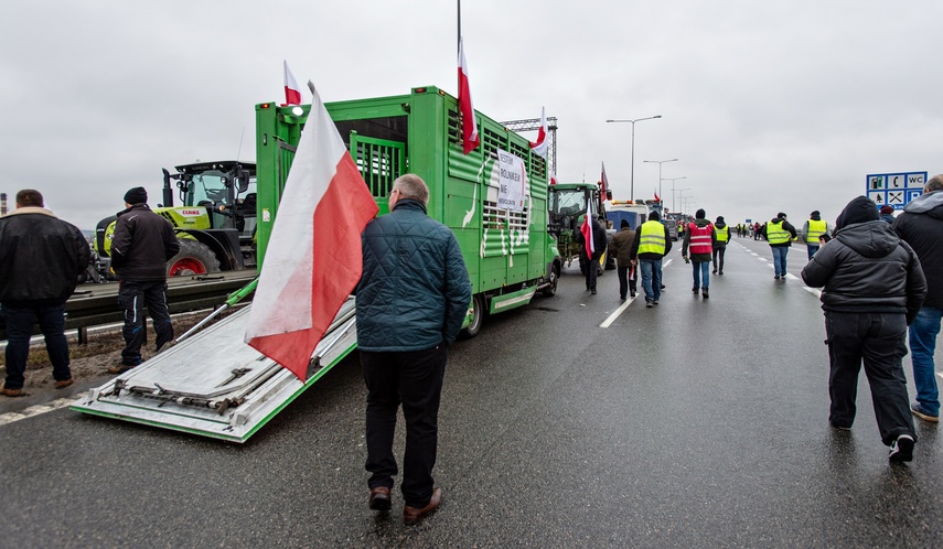 Protest rolników w Elblągu. "Sprowadzanie towarów z Ukrainy nas rujnuje" zdjęcie nr 302474
