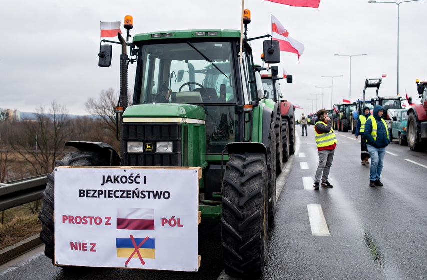Protest rolników w Elblągu. "Sprowadzanie towarów z Ukrainy nas rujnuje" zdjęcie nr 302479