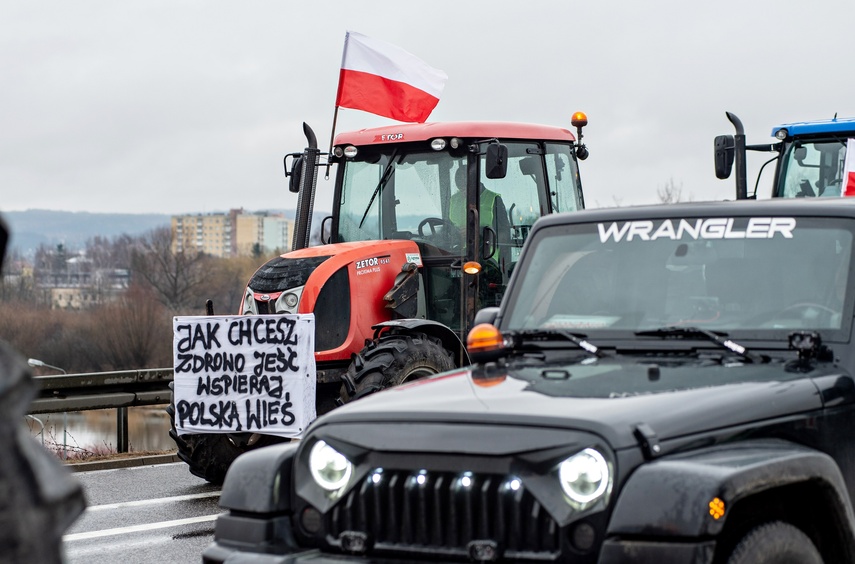 Protest rolników w Elblągu. "Sprowadzanie towarów z Ukrainy nas rujnuje" zdjęcie nr 302460