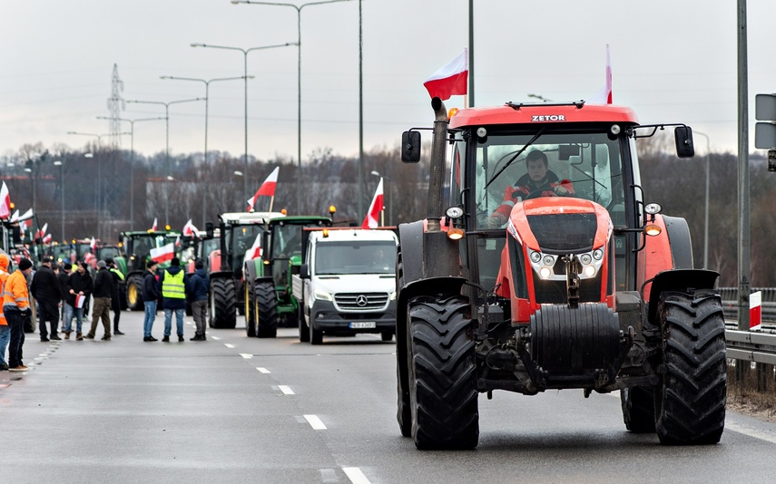 Protest rolników w Elblągu. "Sprowadzanie towarów z Ukrainy nas rujnuje" zdjęcie nr 302452