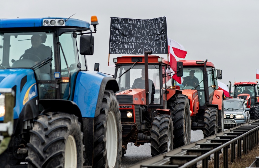 Protest rolników w Elblągu. "Sprowadzanie towarów z Ukrainy nas rujnuje" zdjęcie nr 302457