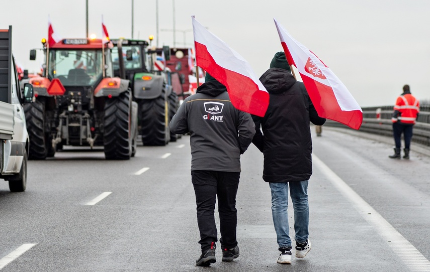 Protest rolników w Elblągu. "Sprowadzanie towarów z Ukrainy nas rujnuje" zdjęcie nr 302470