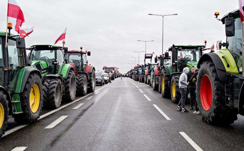 Protest rolników w Elblągu. "Sprowadzanie towarów z Ukrainy nas rujnuje" zdjęcie nr 302480