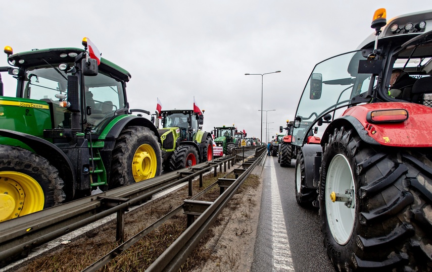 Protest rolników w Elblągu. "Sprowadzanie towarów z Ukrainy nas rujnuje" zdjęcie nr 302462