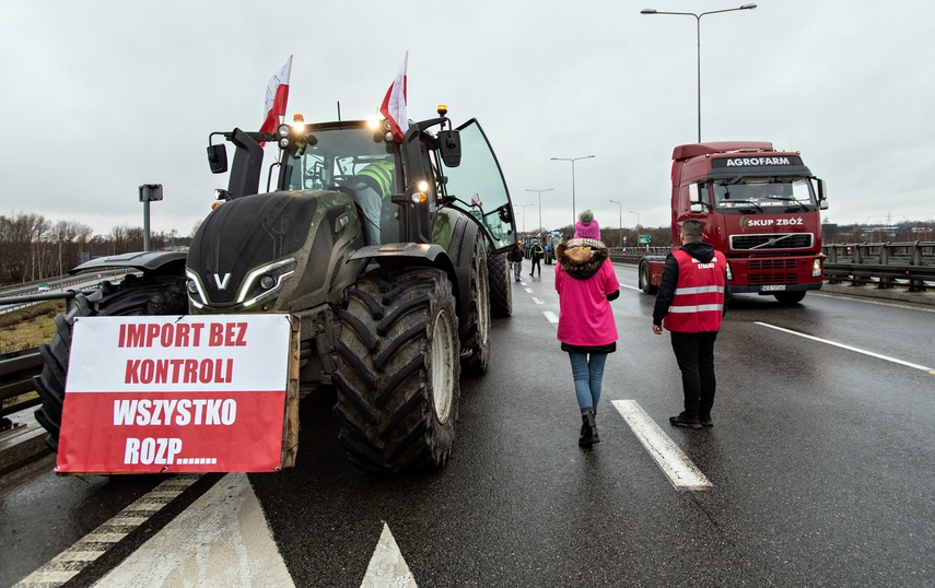 Protest rolników w Elblągu. "Sprowadzanie towarów z Ukrainy nas rujnuje" zdjęcie nr 302450