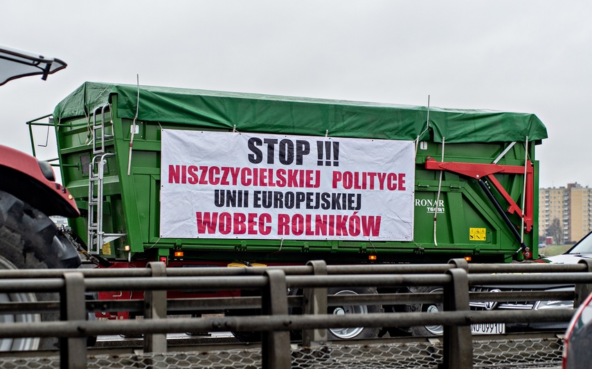 Protest rolników w Elblągu. "Sprowadzanie towarów z Ukrainy nas rujnuje" zdjęcie nr 302467
