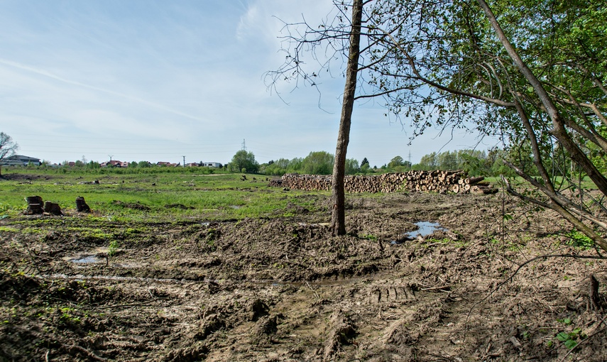 Potok poczeka na zbiornik zdjęcie nr 306402