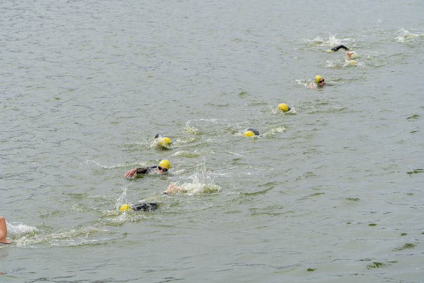 Sportowa niedziela na elbląskiej starówce zdjęcie nr 311684