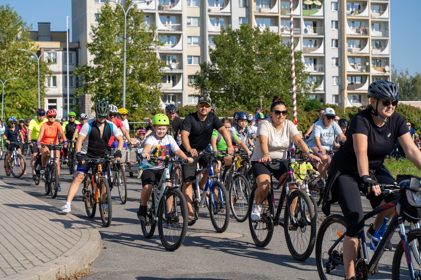 Miasto dla rowerzystów zdjęcie nr 315754