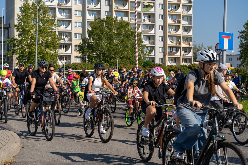 Miasto dla rowerzystów zdjęcie nr 315753