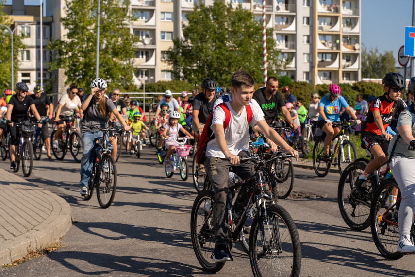 Miasto dla rowerzystów zdjęcie nr 315752