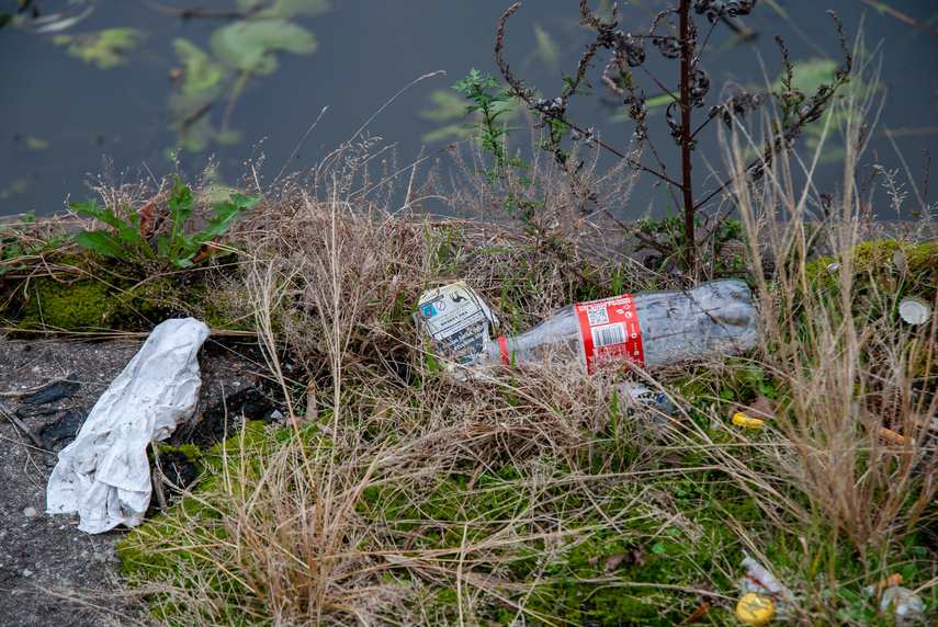 Komenda posprzątana, czas na brzeg rzeki zdjęcie nr 316764