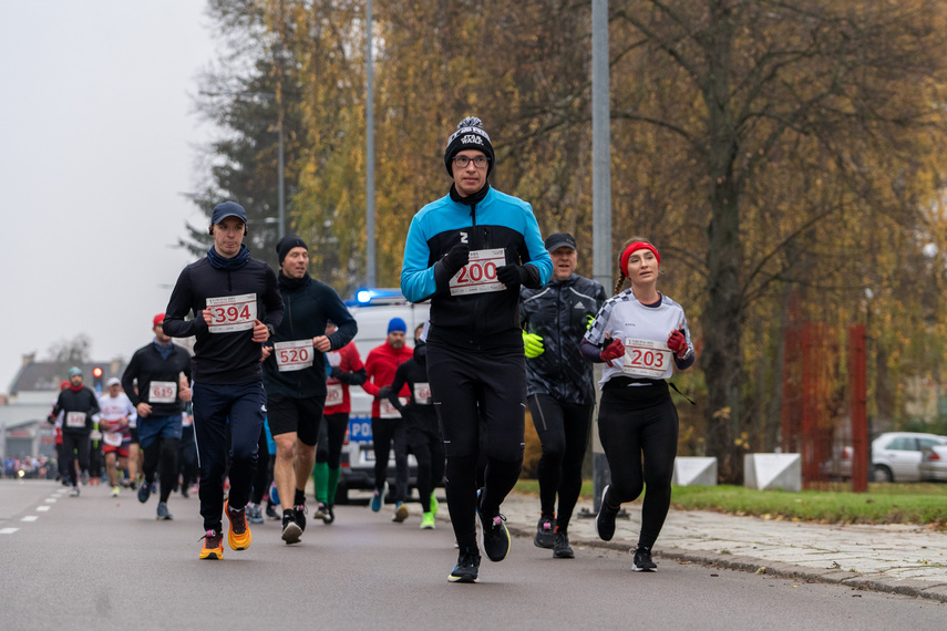 Rekordowy Elbląski Bieg Niepodległości zdjęcie nr 319236