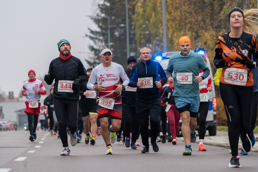 Rekordowy Elbląski Bieg Niepodległości zdjęcie nr 319239