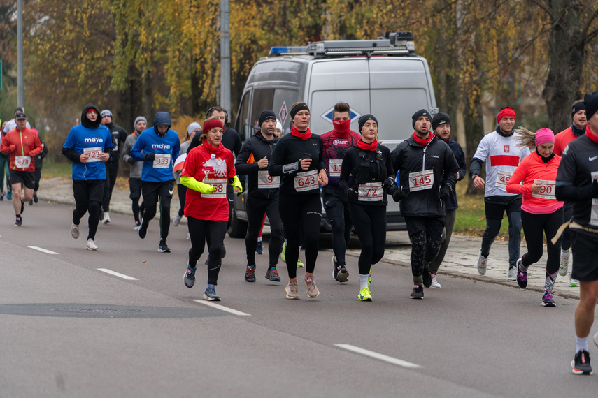 Rekordowy Elbląski Bieg Niepodległości zdjęcie nr 319244