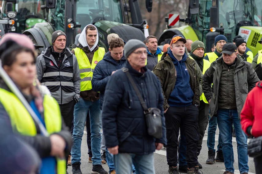 Rolnicy protestowali w Elblągu. „Żywność spoza UE jest nafaszerowana pestycydami” zdjęcie nr 320518