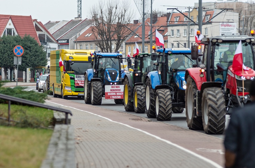 Rolnicy protestowali w Elblągu. „Żywność spoza UE jest nafaszerowana pestycydami” zdjęcie nr 320489