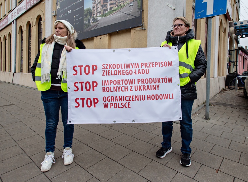 Rolnicy protestowali w Elblągu. „Żywność spoza UE jest nafaszerowana pestycydami” zdjęcie nr 320513