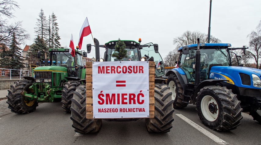 Rolnicy protestowali w Elblągu. „Żywność spoza UE jest nafaszerowana pestycydami” zdjęcie nr 320503