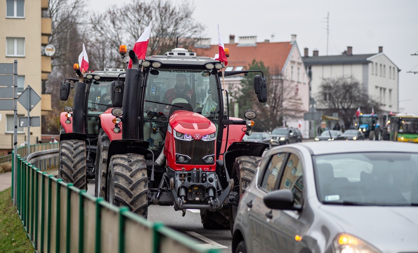 Rolnicy protestowali w Elblągu. „Żywność spoza UE jest nafaszerowana pestycydami” zdjęcie nr 320498