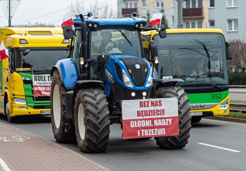 Rolnicy protestowali w Elblągu. „Żywność spoza UE jest nafaszerowana pestycydami” zdjęcie nr 320491