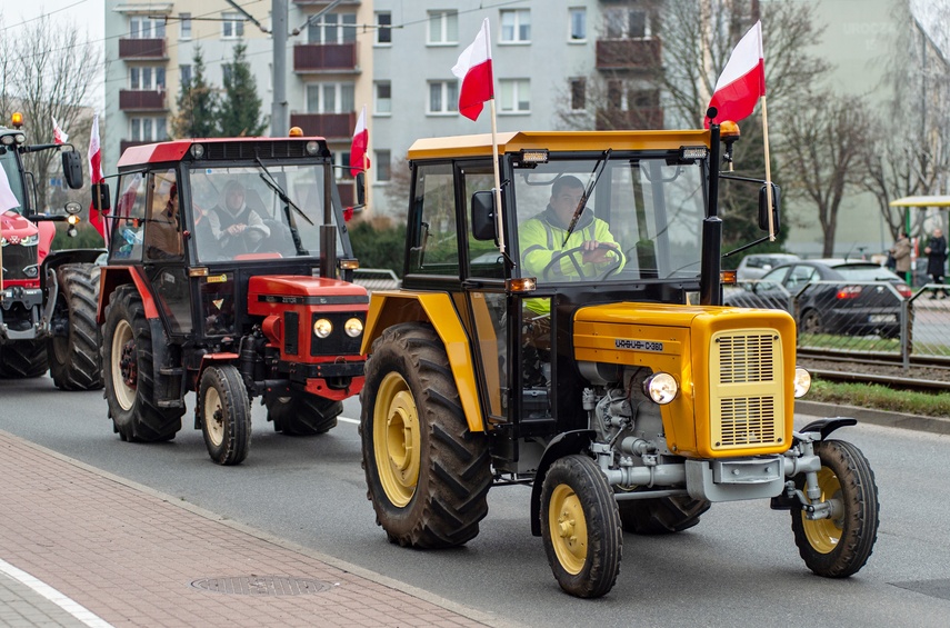 Rolnicy protestowali w Elblągu. „Żywność spoza UE jest nafaszerowana pestycydami” zdjęcie nr 320490