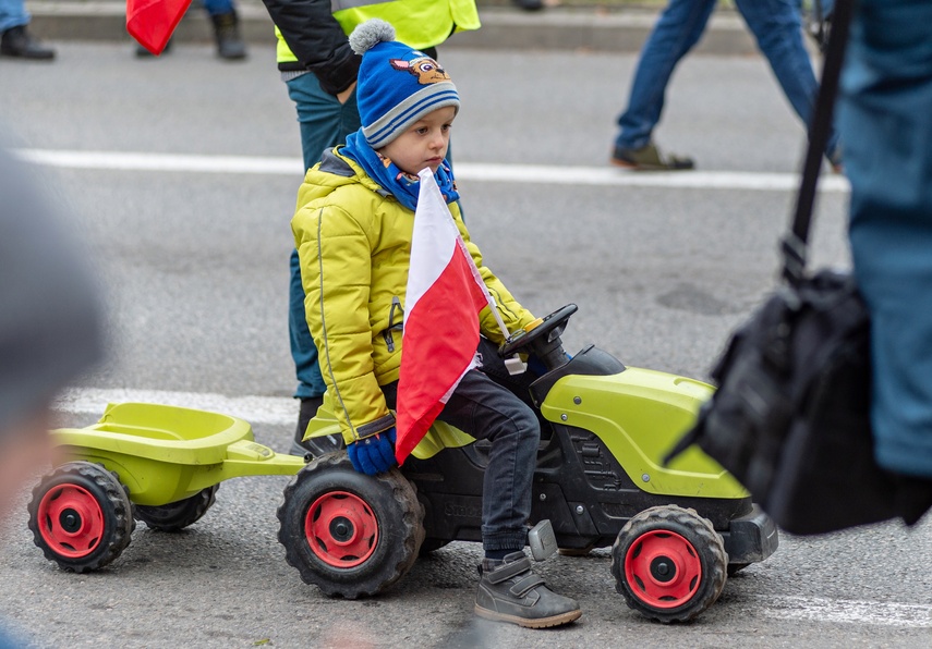 Rolnicy protestowali w Elblągu. „Żywność spoza UE jest nafaszerowana pestycydami” zdjęcie nr 320516