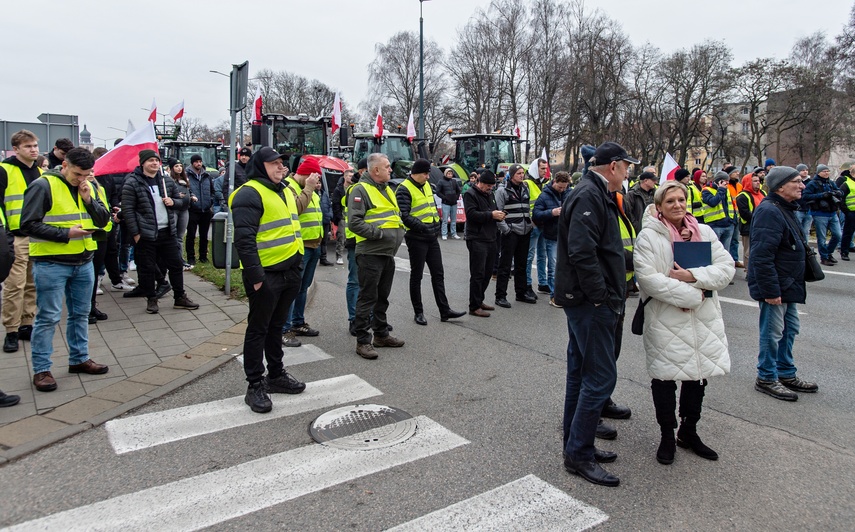 Rolnicy protestowali w Elblągu. „Żywność spoza UE jest nafaszerowana pestycydami” zdjęcie nr 320514