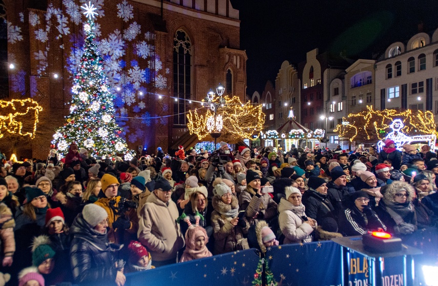 Rozbłysła choinka zdjęcie nr 320703