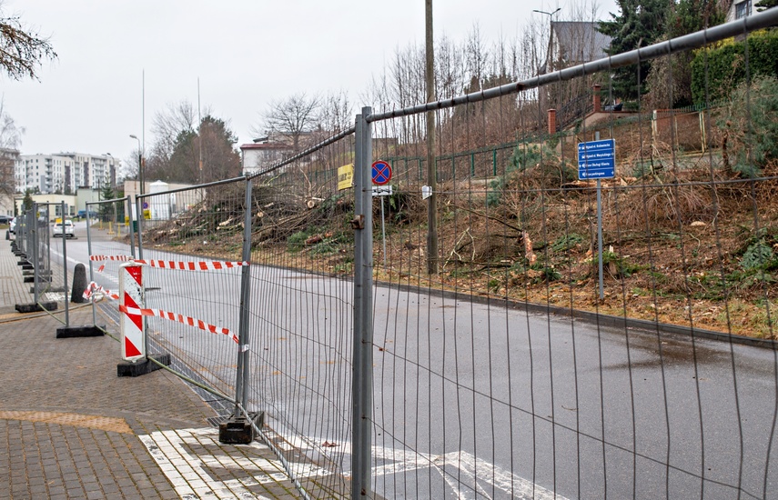 Były drzewa i krzewy, będzie fotowoltaika zdjęcie nr 320872